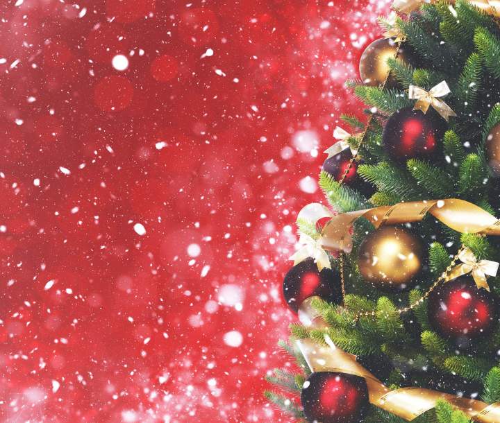 Menu de Noël